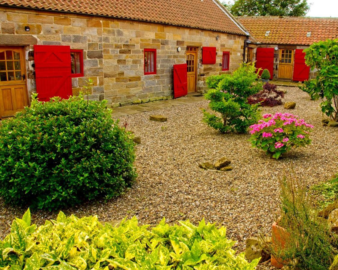 סטיית'ס Spangle Cottage, Borrowby Farm Cottages מראה חיצוני תמונה