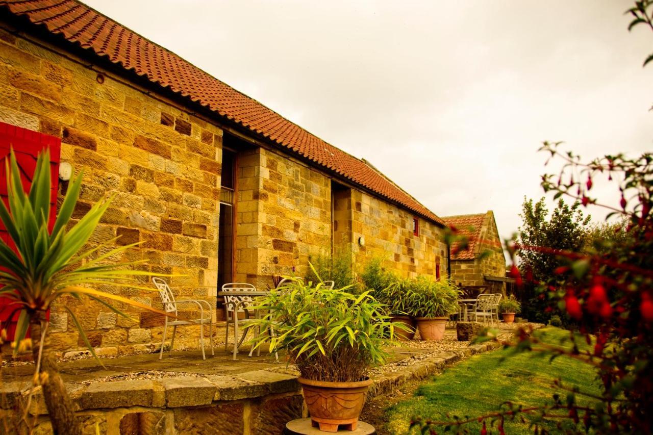 סטיית'ס Spangle Cottage, Borrowby Farm Cottages מראה חיצוני תמונה