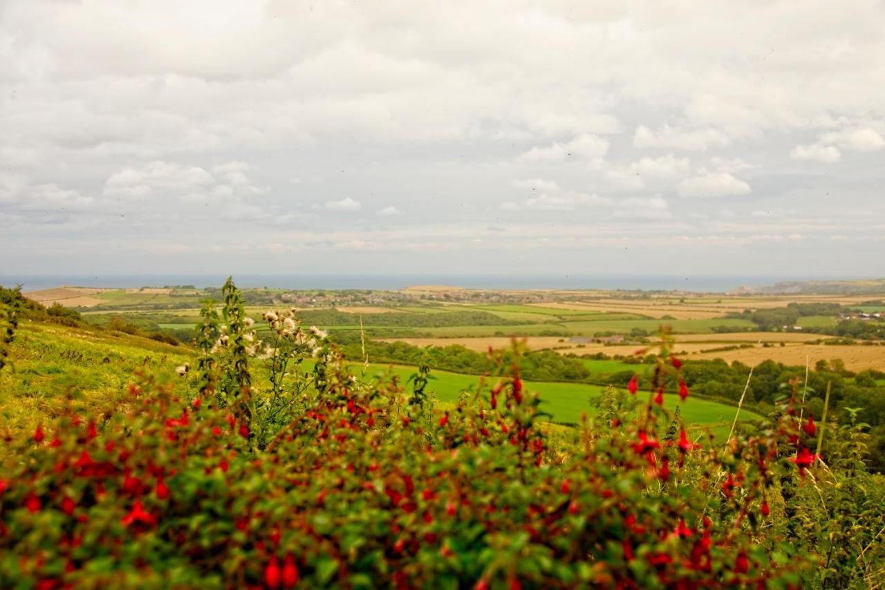 סטיית'ס Spangle Cottage, Borrowby Farm Cottages מראה חיצוני תמונה